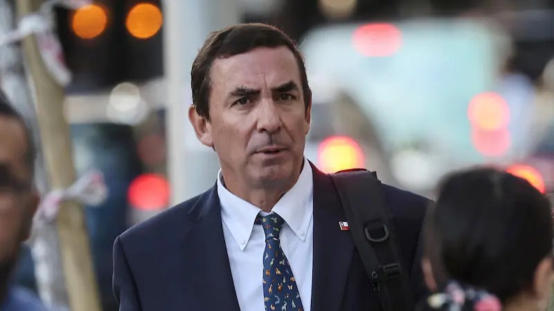 Pudú Elects tweet media