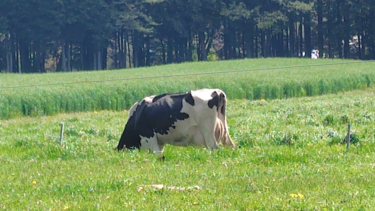 フランク SSTR2026エントリー完了 tweet media