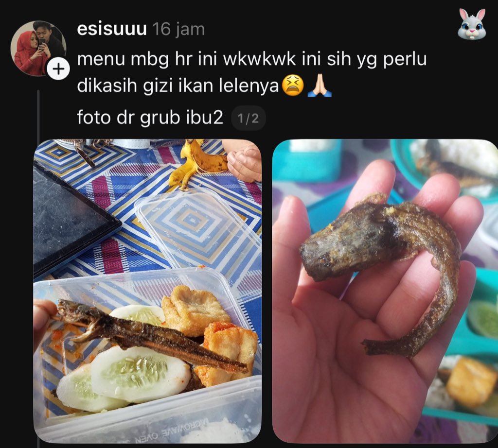 gi 💃🏻 tweet media