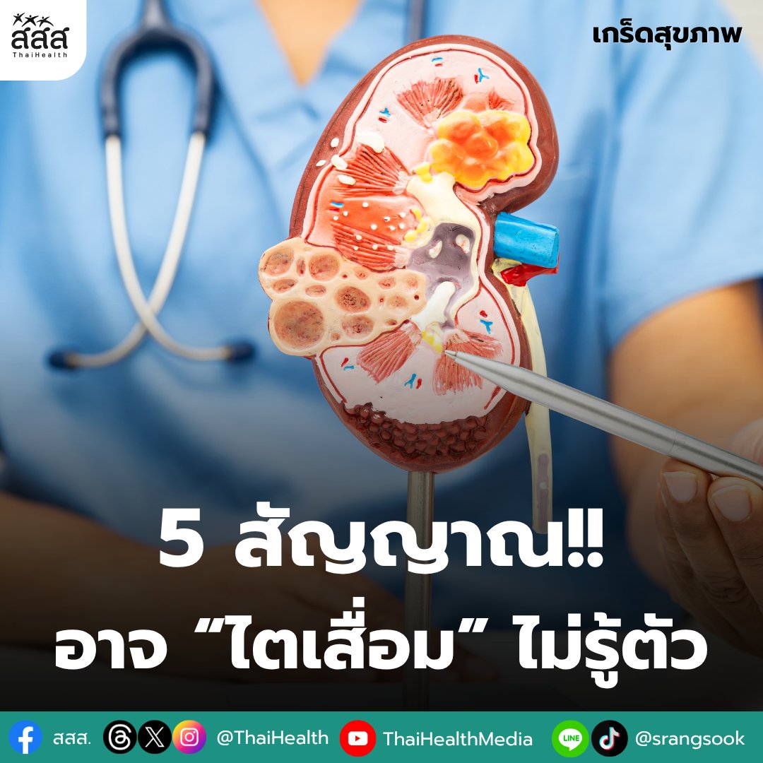 thaihealth's tweet photo. เช็ก 5 สัญญาณเตือน อาจ “ไตเสื่อม” โดยไม่รู้ตัว
.
ติดตามเรื่องราวเพิ่มเติมได้ที่: https://t.co/HBE5kZ1Gzr
.
#สสส #thaihealth #สื่อสารสุข #ไตเสื่อม https://t.co/b9tGY2ZClS