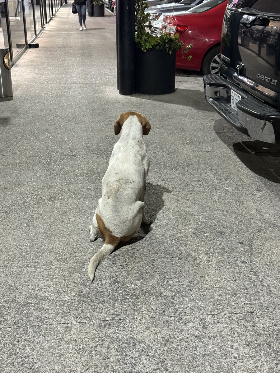 Revista ORA!! tweet media