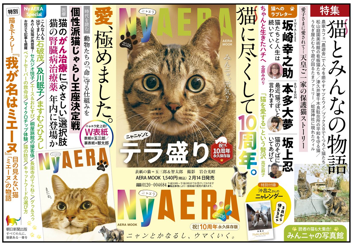 NyAERA tweet media