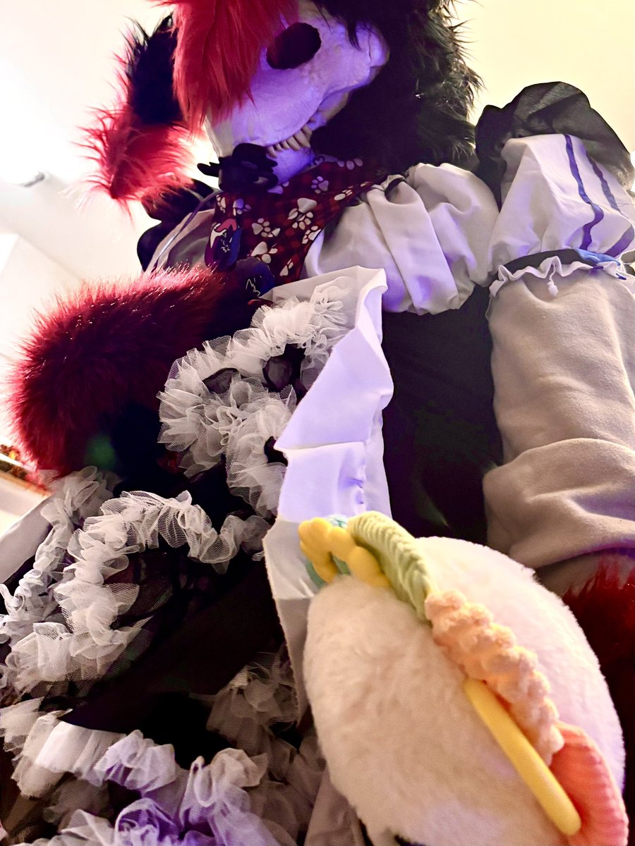 Ravey pup tweet media