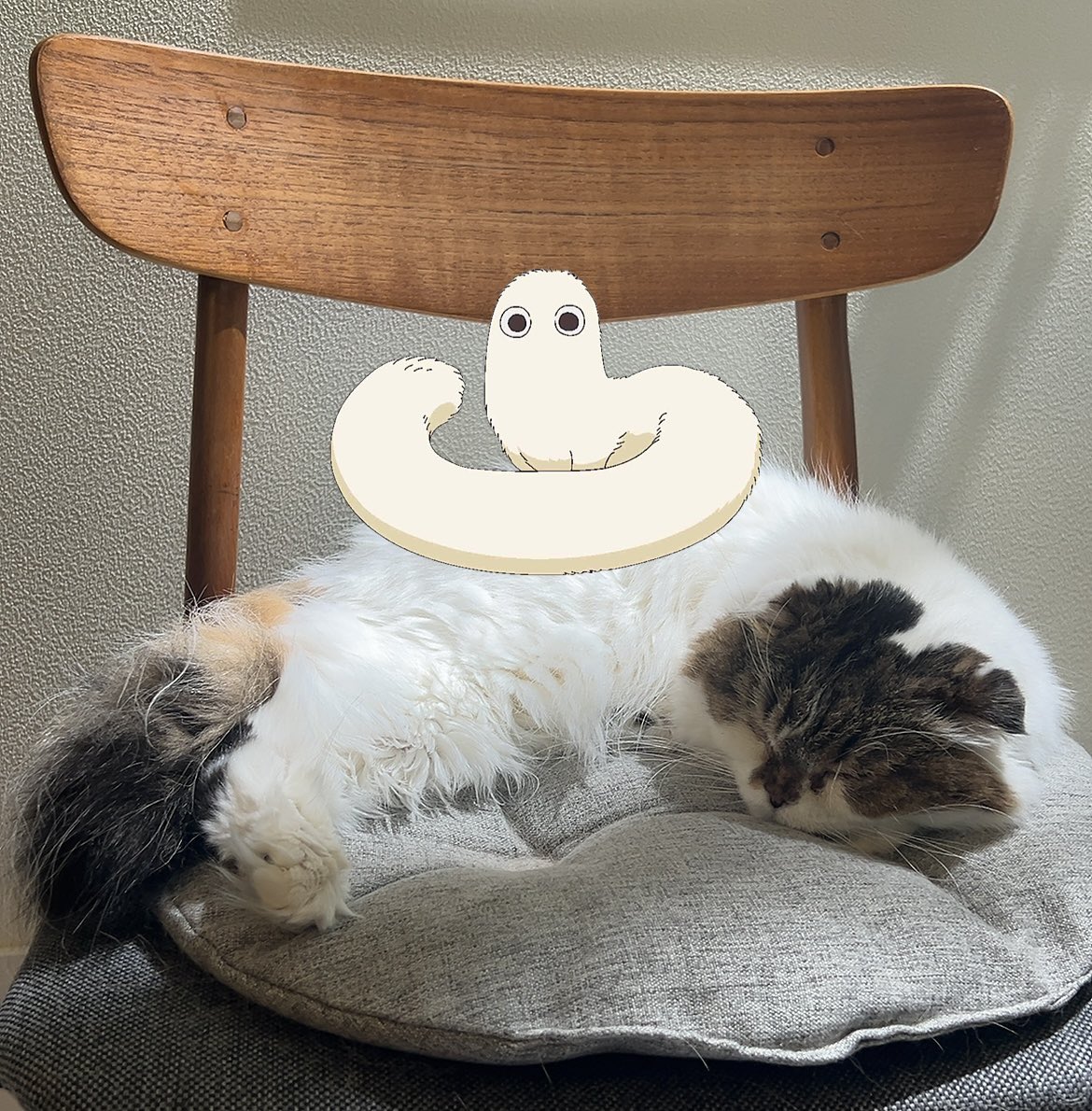 oO0Lum0Oo's tweet image. フデムシと我が家のフデムシのコラボ

#とんがり帽子のアトリエ
#WitchHatAtelier  #ScottishFold  
#たぬきじゃなくて猫です