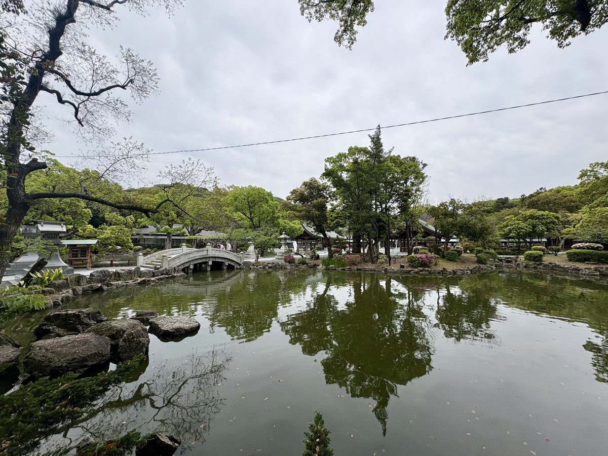 ﾓｸｾｪｪ tweet media