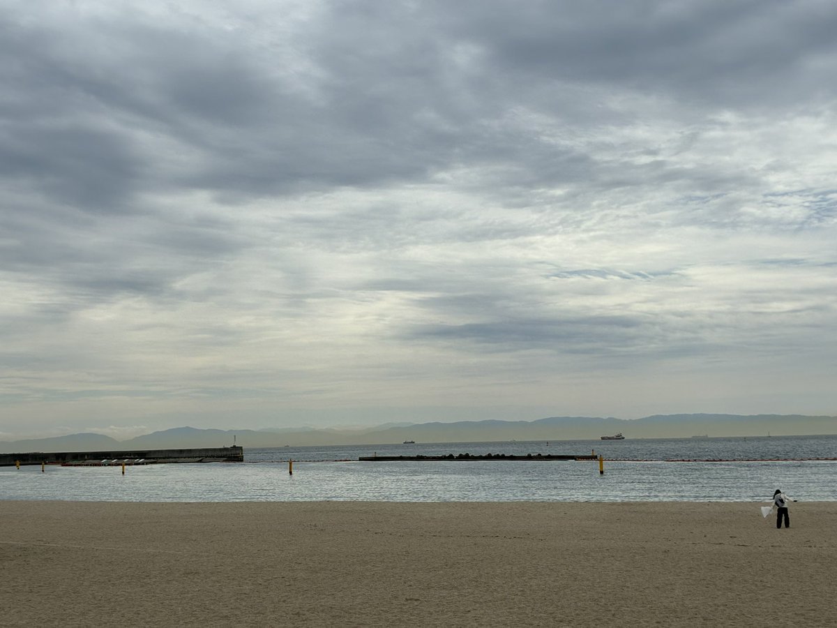 すふぃも tweet media