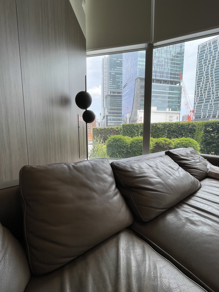 non_chan.48 🌈💗🐶💗🌈 tweet media