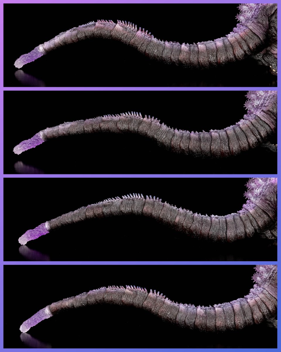 The Articulation Series ft. S.H.MonsterArts tweet media