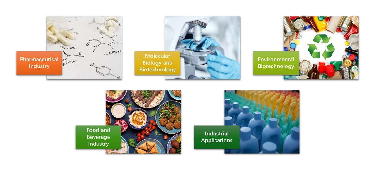Creative Enzymes tweet media
