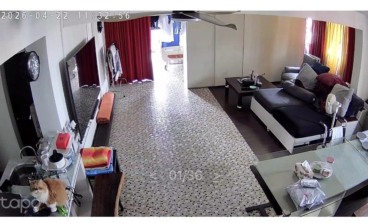 Grannie🐾& Taddie🫚 tweet media