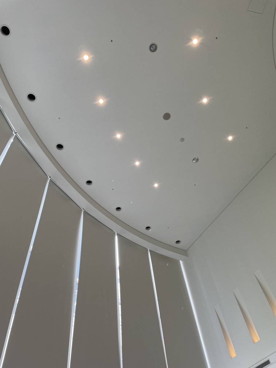 non_chan.48 🌈💗🐶💗🌈 tweet media