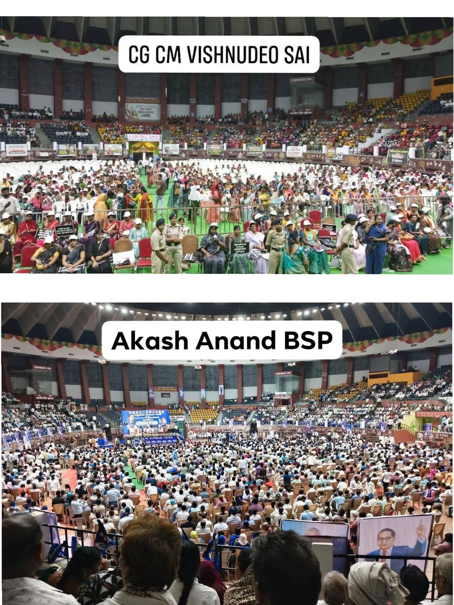 Dave Potter tweet media