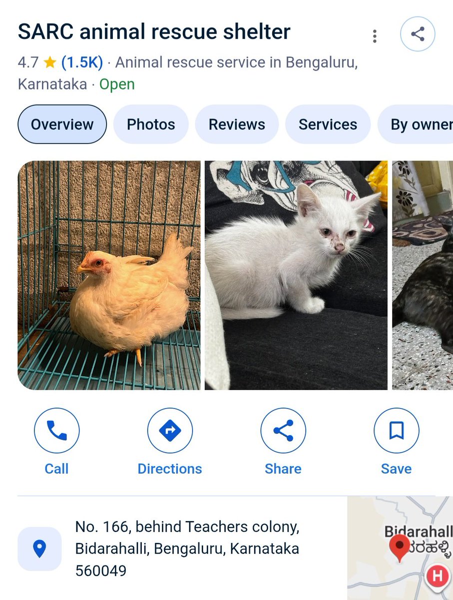 sahavarthin's tweet photo. @CPBlr @BlrCityPolice @DCPSouthBCP @hnagarps @avalahallips @bngdistpol What is important for Bengaluru police? Bias on animals or enforcing law? Answer is bias on animals. They hate dogs so much that they will not even file an NCR in a fraud &amp; animal cruelty case with proofs. 1/2 https://t.co/2QSRR1YG00