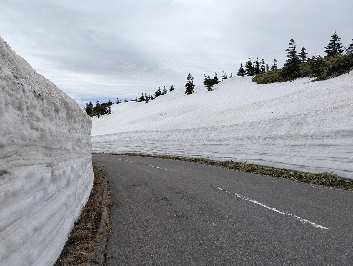 ばぅ→ tweet media