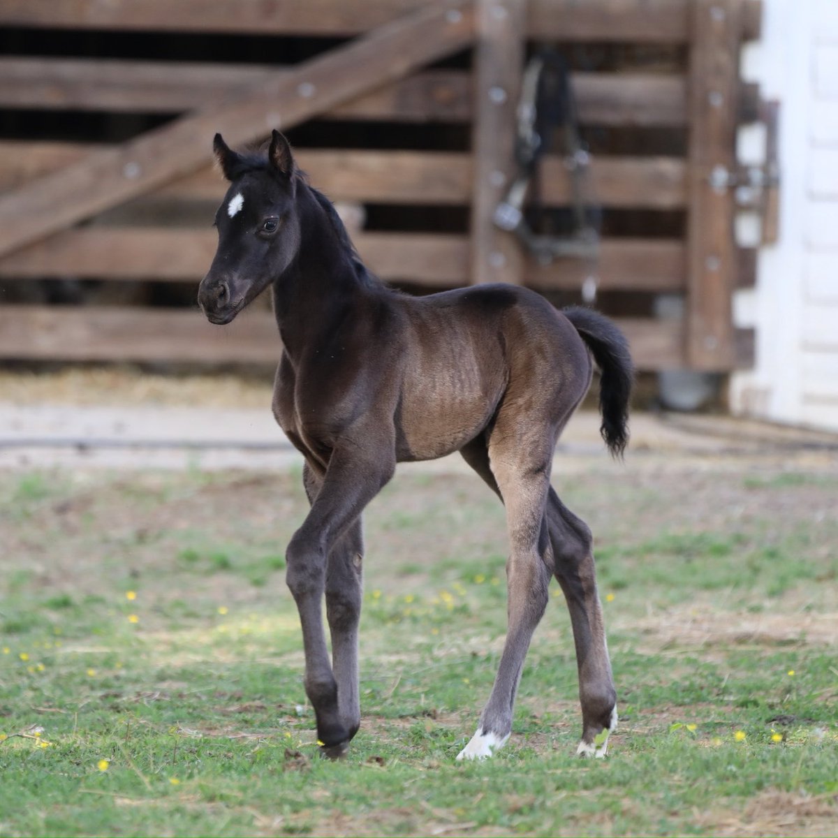 Dustin Kittle tweet media