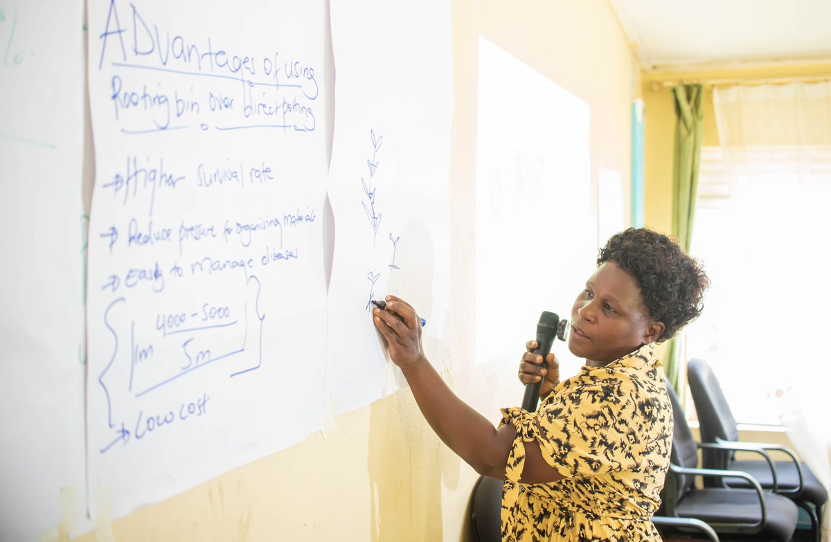 NaCORIUganda's tweet photo. #CoCoDEV project highlights:
Pictorial from the coffee &amp; cocoa nursery operators retooling exercise @narouganda  @rwebitaba research institute, Kabarole. https://t.co/mw3BjUB5oi