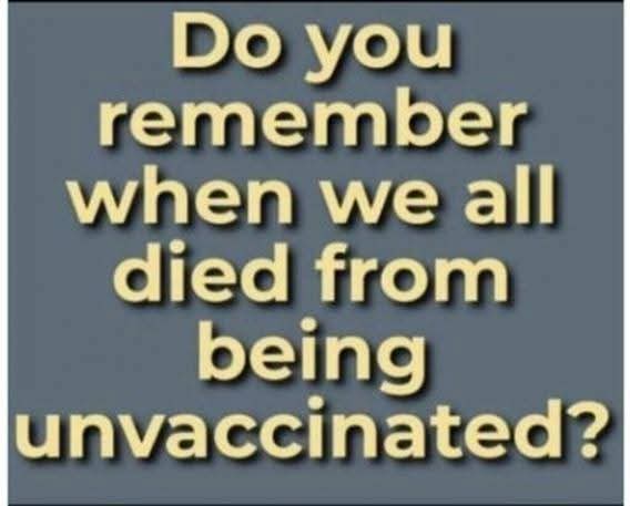 Da Jelly tweet media