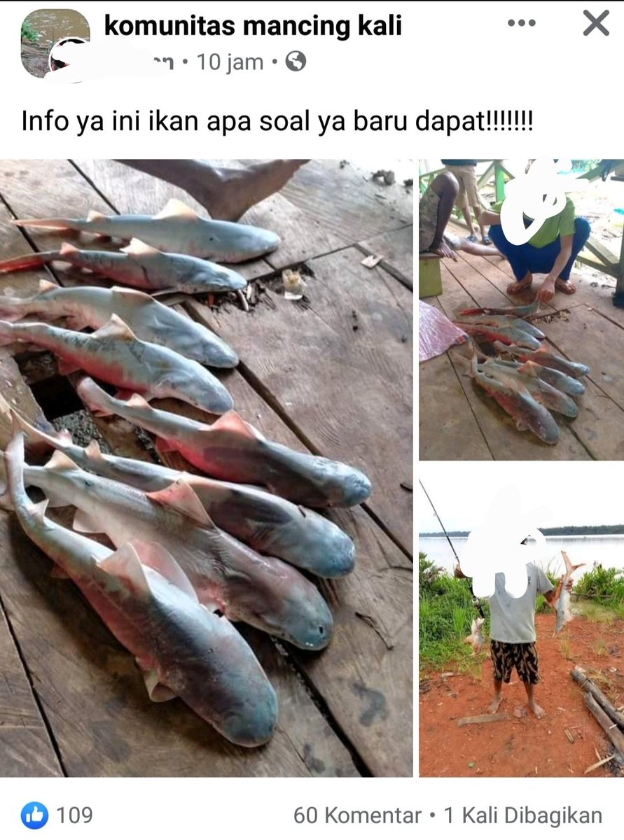 𓆝 Erza Istiophoriformes 🦚🧟‍♀️🍂🐿🔮🎨 tweet media