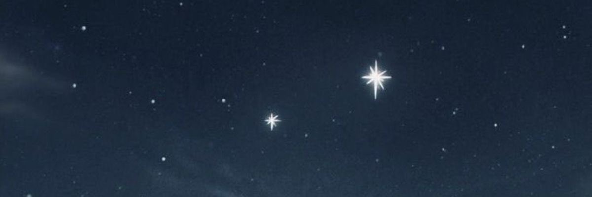 Stargirl tweet media