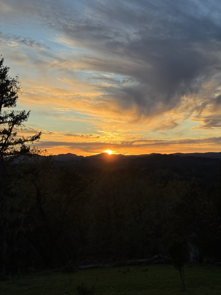 Original Content tweet media