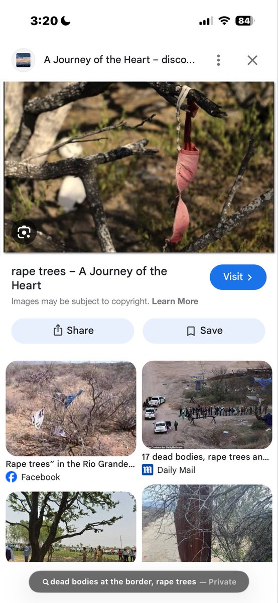 Mama Bear Tasha tweet media