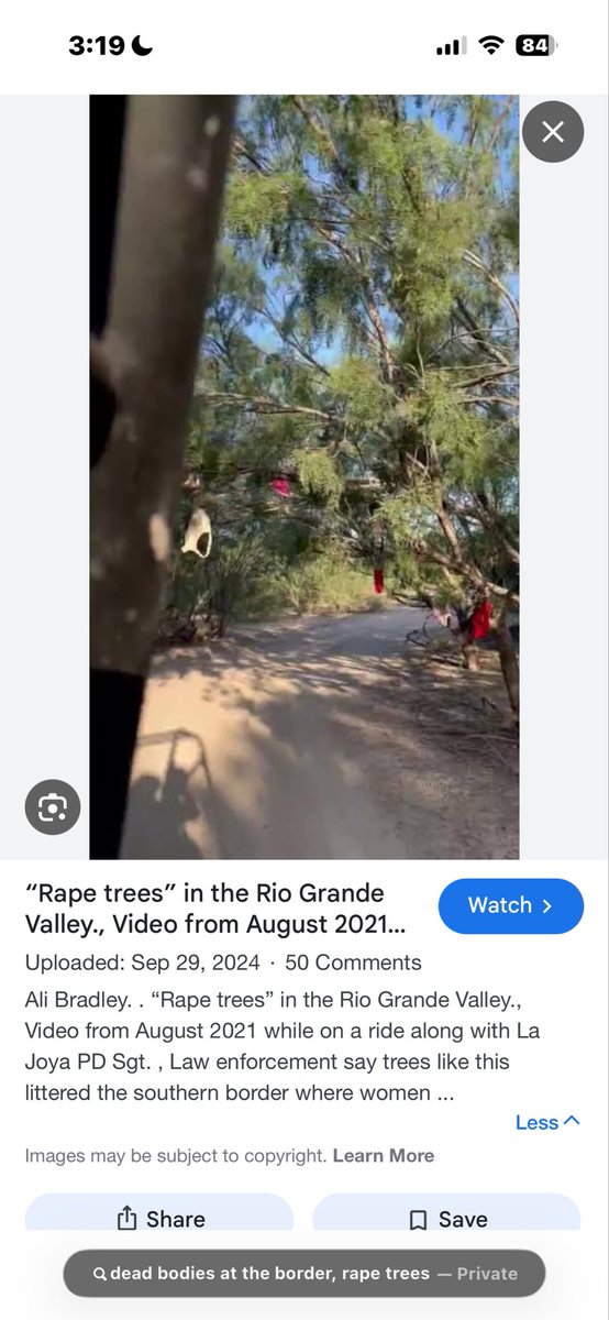 Mama Bear Tasha tweet media