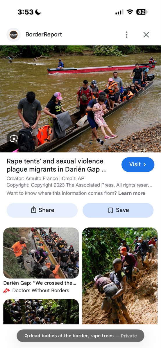 Mama Bear Tasha tweet media