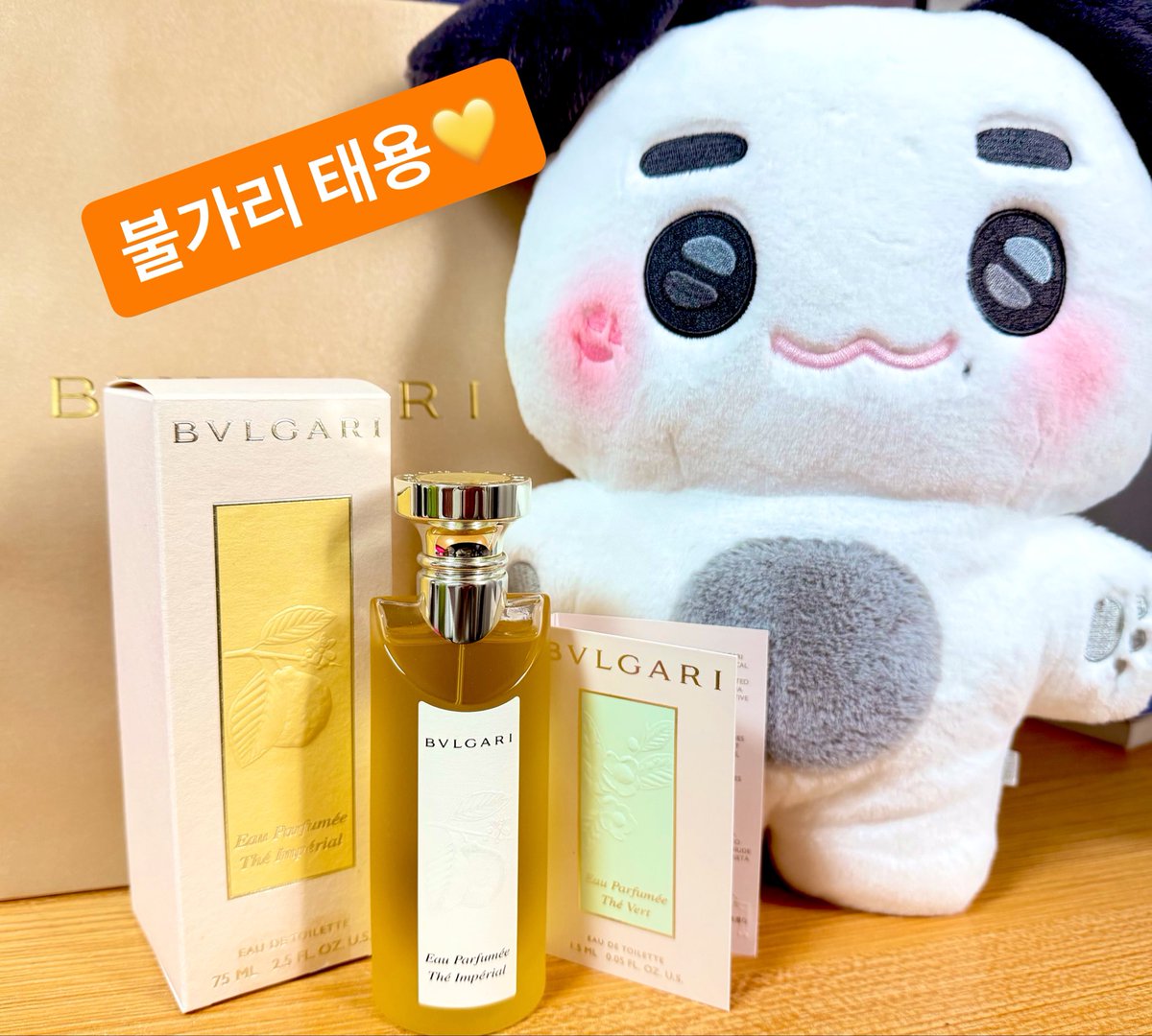 티와플🌱 tweet media