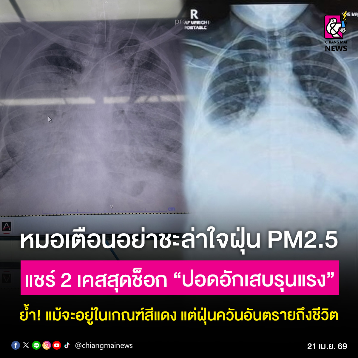 Chiang Mai News tweet media