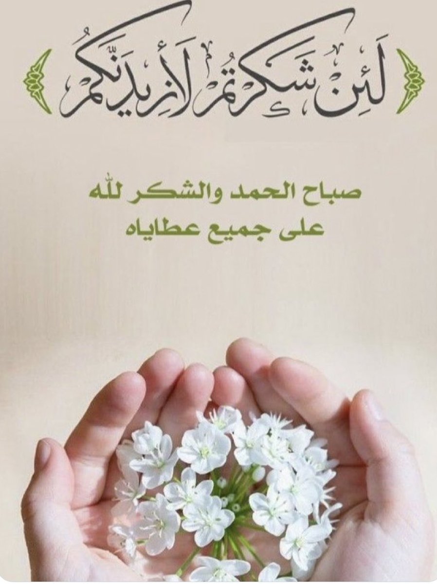 alameed—q8 tweet media