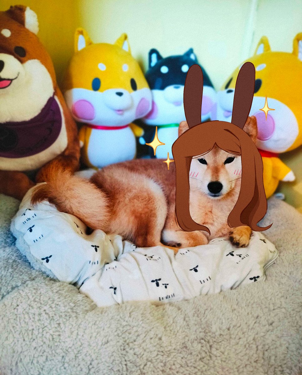 Dant_low 🥭 tweet media