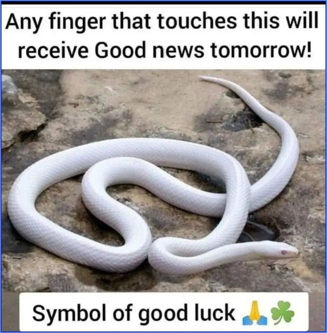 Law Of Attraction Coach tweet media