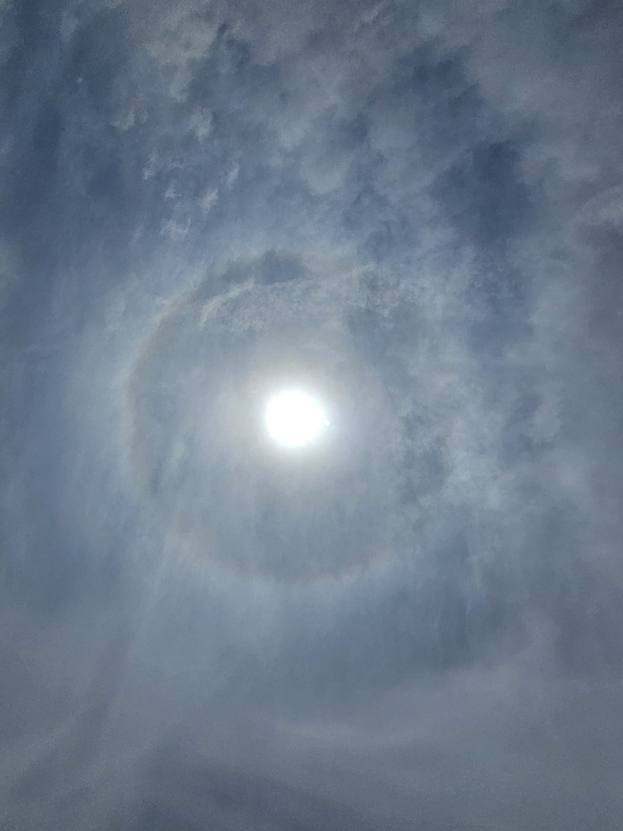 けいこ🫟 tweet media