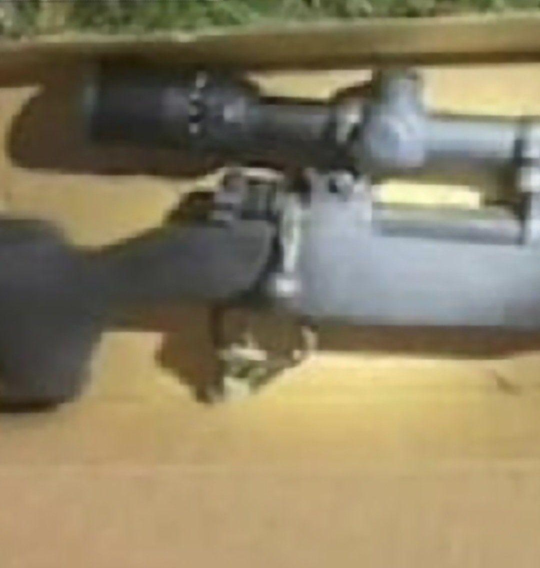 Shnauser tweet media