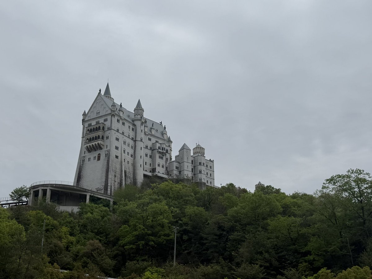 なお　なお tweet media