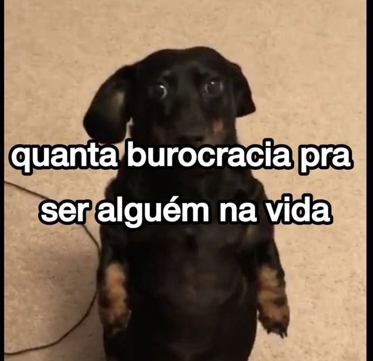 Gabriel Holtz tweet media