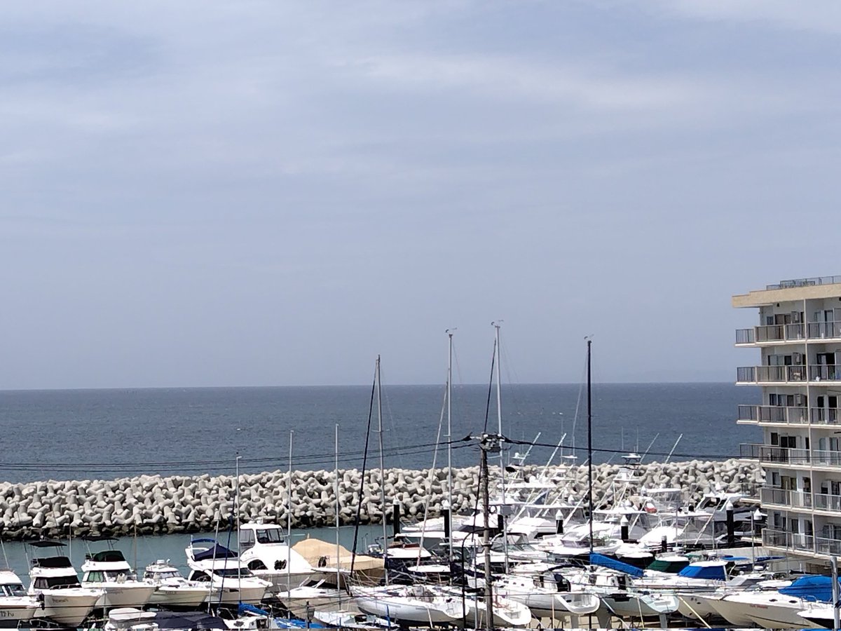 マック&シュンカナ-054🐈‍⬛🐈️ tweet media