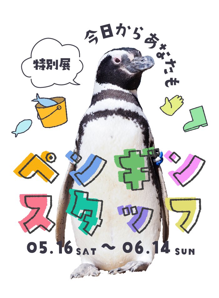 上越市立水族博物館 うみがたり tweet media