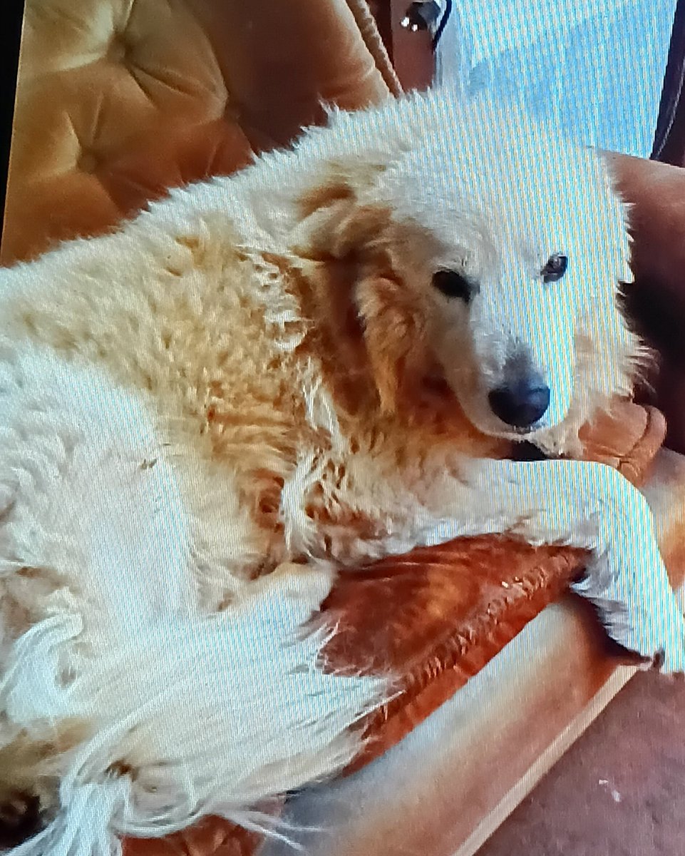 Cesshere tweet media