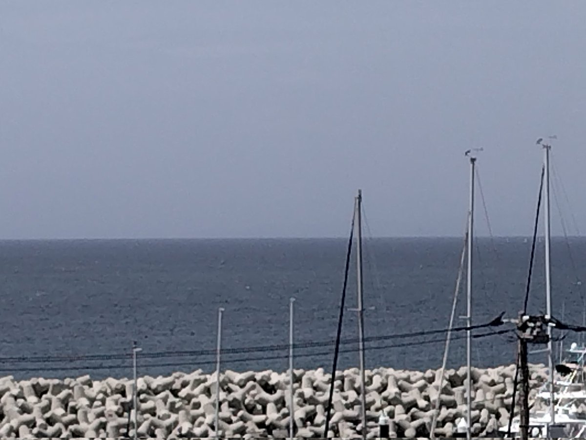 マック&シュンカナ-054🐈‍⬛🐈️ tweet media