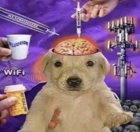 𝔱𝔥𝔢 𝔟𝔞𝔱 𝔞𝔫𝔡 𝔱𝔥𝔢 𝔠𝔞𝔱 tweet media