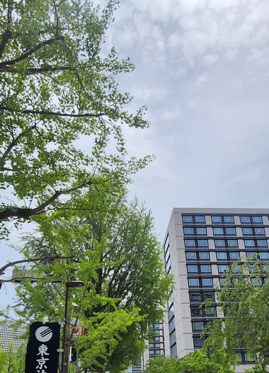 働くし、デモも行くし、好きな配信も見るし、ラジオ聞くし、ボーイズラブも好きだし、二次創作やるし、全部やるし、死ぬまで！自由にやることはこの✨輝かしい✨私が、✨Superな✨自分で、決めますので、そこんとこよろしくお願いいたしま〜す💓という気持ちで参加
#0422議員会館前行動