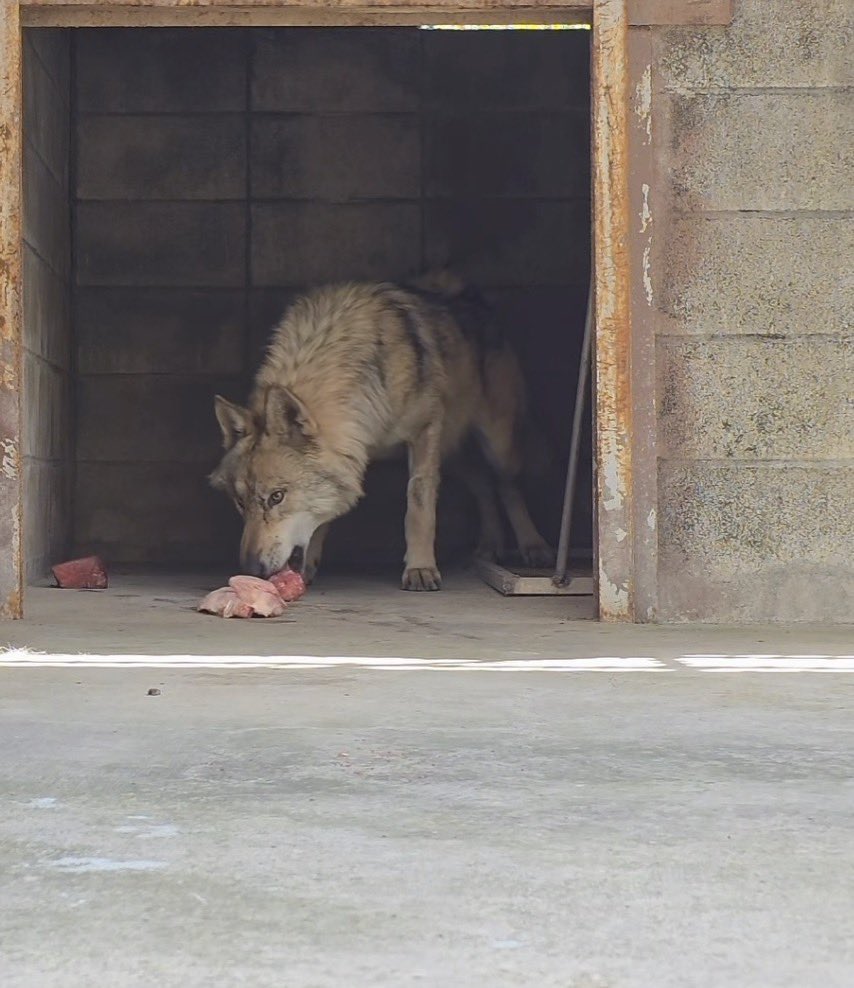 𝑖𝑛𝑔 tweet media