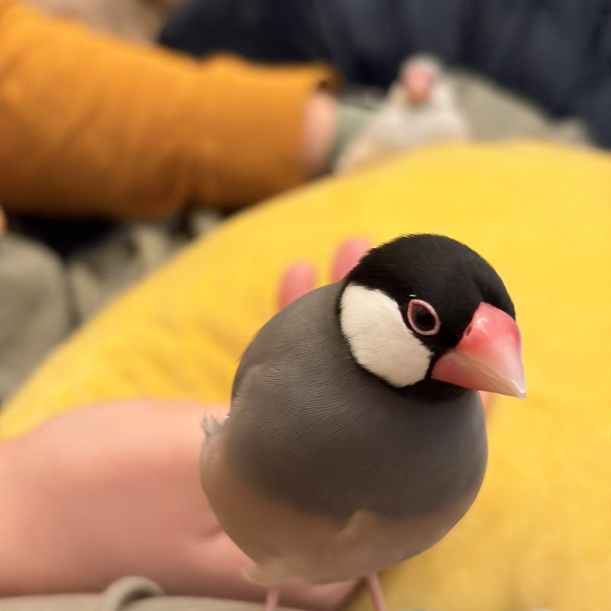 BUNTYOUNOSHIMA's tweet photo. どしたん話聞こか？ https://t.co/nklueBi4f9
