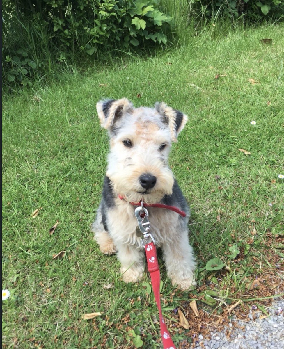 cav empty tweet media