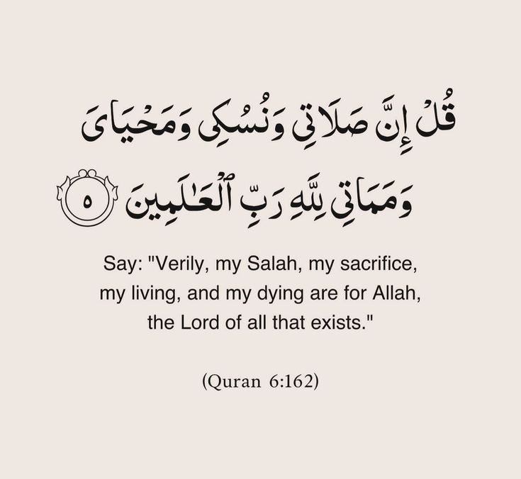 Muslim Ummah tweet media