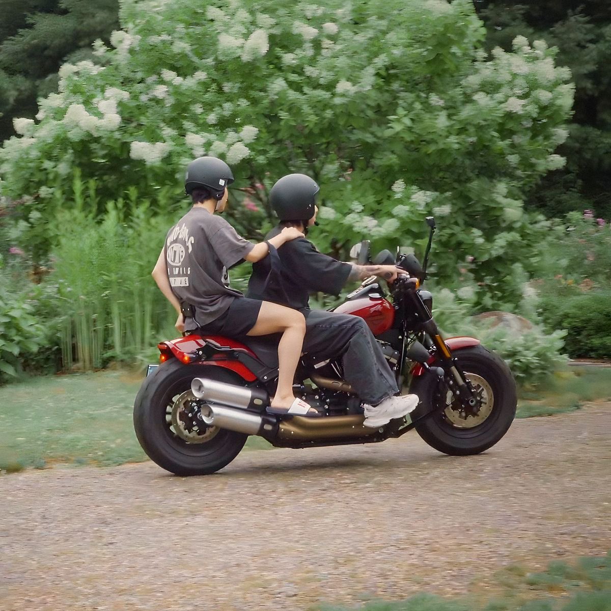 Veeh ٭ 🪭 tweet media