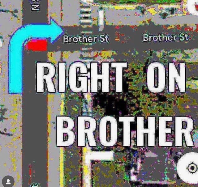 Son of Carl tweet media