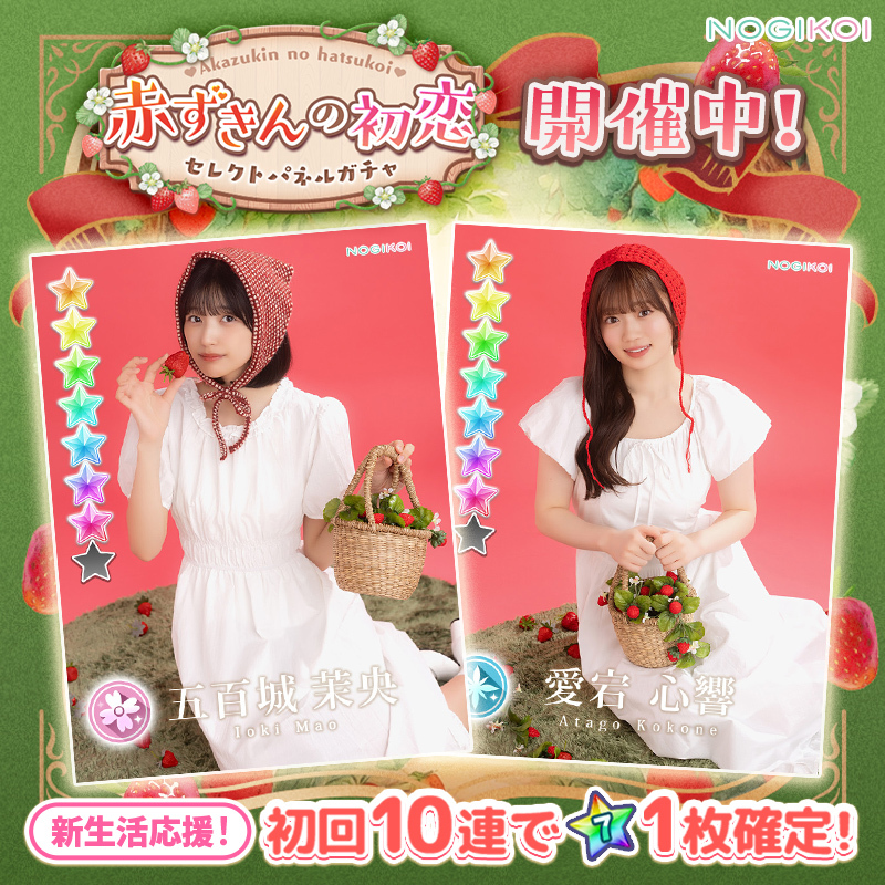 【公式】乃木恋 tweet media