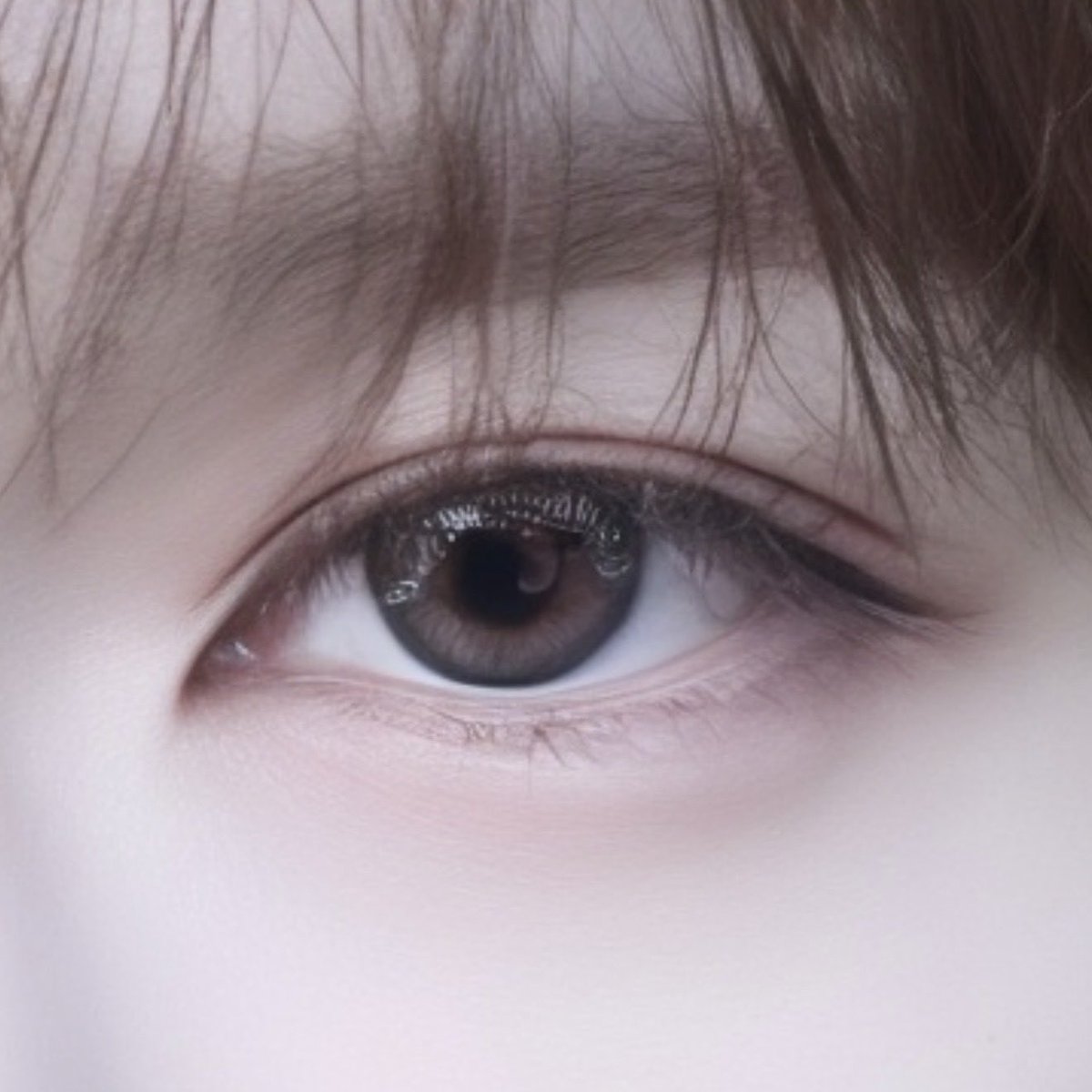 คอนแทคเลนส์น้องเล่อที่งานเฟสของอะไร คือควรเผยแพร่ออกสู่สาธารณะชนมาก รอบที่แล้วใส่ตามคือตาแมวตาแป๋วสุดๆ ใครพอรู้จักหรือแบรนด์ใกล้เคียงบอกได้นะคะ🥺🥺🤲🏻